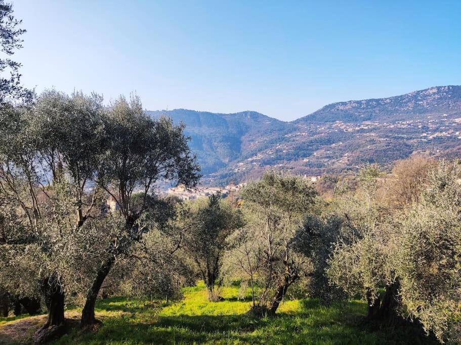 Bas De Villa. Cote D'Azur, A 20 Kms De Nice Contes  외부 사진