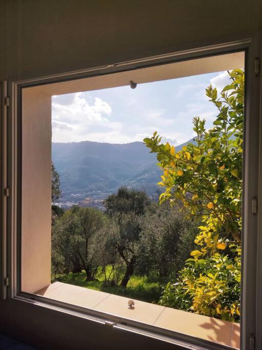 Bas De Villa. Cote D'Azur, A 20 Kms De Nice Contes  외부 사진